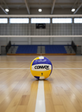 Bola de Volei
